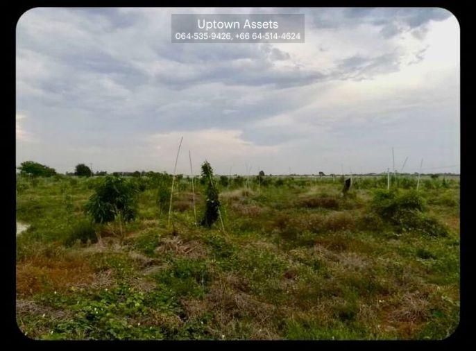 รูป (UA003)ขายที่ดิน ติดคลองชลประทาน อ.กำแพงแสน จ.นครปฐม (แปลงที่ดินติดกับไร่นาบุญ) - รูปที่ 1/4