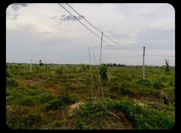 รูป (UA003)ขายที่ดิน ติดคลองชลประทาน อ.กำแพงแสน จ.นครปฐม (แปลงที่ดินติดกับไร่นาบุญ) - รูปที่ 2/4