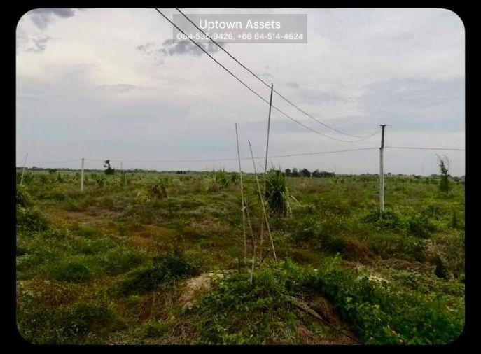 รูป (UA003)ขายที่ดิน ติดคลองชลประทาน อ.กำแพงแสน จ.นครปฐม (แปลงที่ดินติดกับไร่นาบุญ) - รูปที่ 2/4