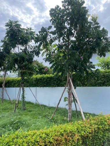 picture Twin house for sale, secondhand, Maneerin Park project, Bang Phra, Sriracha, Chonburi. - 15/16