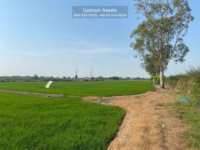 รูป (UA002) ขาย ที่นาเนื้อที่ 8 ไร่ มีทางเข้า-ออก เขตถนนกว้าง 8 เมตร (ใกล้เซ็นทรัลเวสเกต) - รูปที่ 3/6