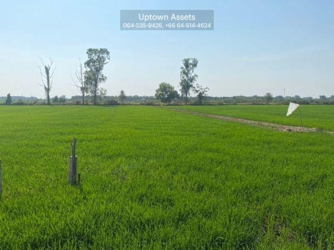 รูป (UA002) ขาย ที่นาเนื้อที่ 8 ไร่ มีทางเข้า-ออก เขตถนนกว้าง 8 เมตร (ใกล้เซ็นทรัลเวสเกต) - รูปที่ 1/6
