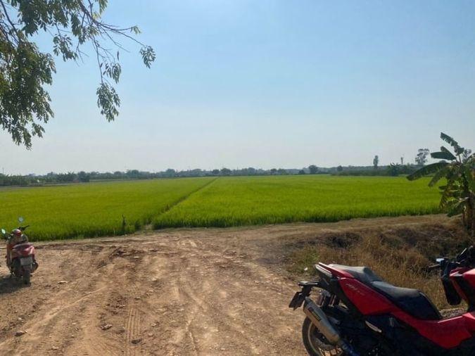 รูป (UA002) ขาย ที่นาเนื้อที่ 8 ไร่ มีทางเข้า-ออก เขตถนนกว้าง 8 เมตร (ใกล้เซ็นทรัลเวสเกต) - รูปที่ 5/6