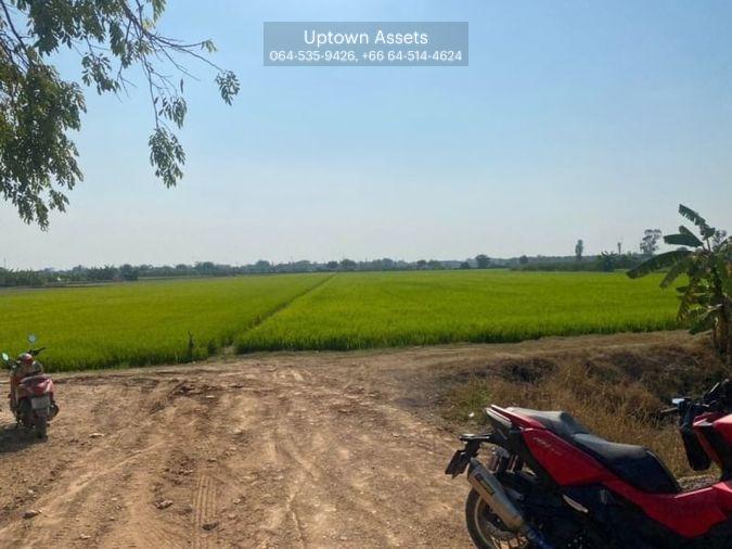 รูป (UA002) ขาย ที่นาเนื้อที่ 8 ไร่ มีทางเข้า-ออก เขตถนนกว้าง 8 เมตร (ใกล้เซ็นทรัลเวสเกต) - รูปที่ 5/6