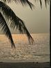 listing thumbnail image 37