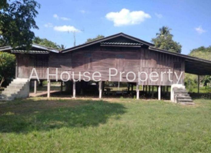 picture Land for sale in Ban Suan, Chonburi, beautiful plot with buildings, 1 wooden house - 1/7