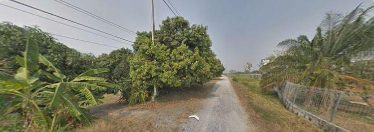 picture Land for sale in Ban Suan, Chonburi, beautiful plot with buildings, 1 wooden house - 4/7