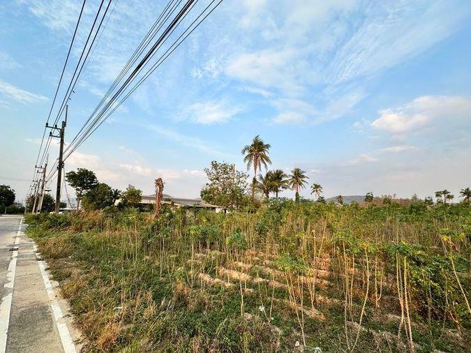 รูป ขายที่ดินเขาคันทรง ศรีราชา แปลงสวย ทำเลดี เขตพัฒนาอุตสหกรรม - รูปที่ 7/16