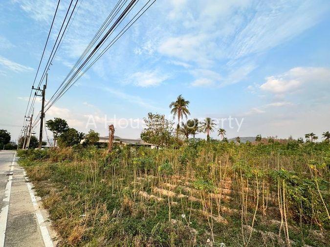 รูป ขายที่ดินเขาคันทรง ศรีราชา แปลงสวย ทำเลดี เขตพัฒนาอุตสหกรรม - รูปที่ 7/16