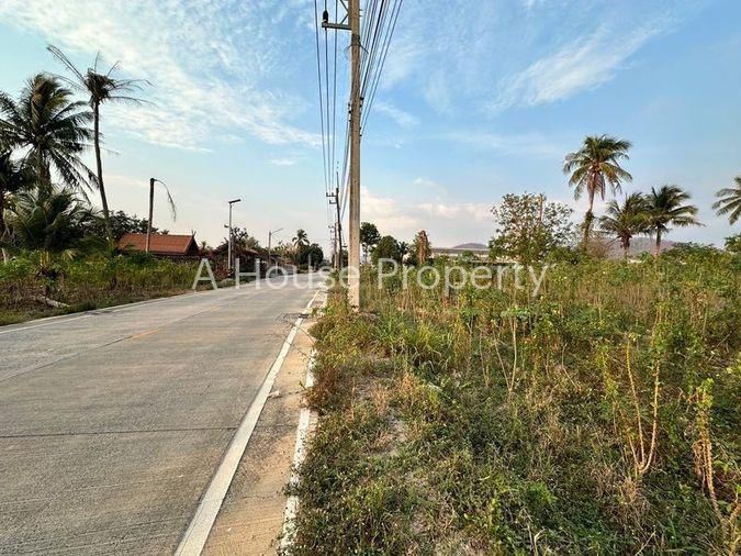 รูป ขายที่ดินเขาคันทรง ศรีราชา แปลงสวย ทำเลดี เขตพัฒนาอุตสหกรรม - รูปที่ 13/16