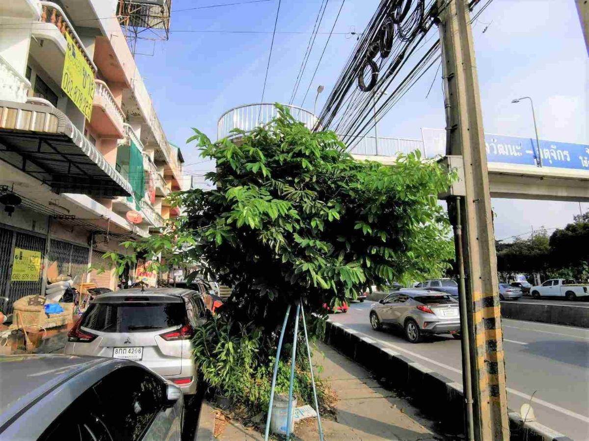 รูป เช่าตึกแถว 4.5 ชั้น ติดถนน บรมราชชนนี ใกล้ หมู่บ้านอมรชัย 3 พุทธมณฑล สาย 3 - รูปที่ 3/15