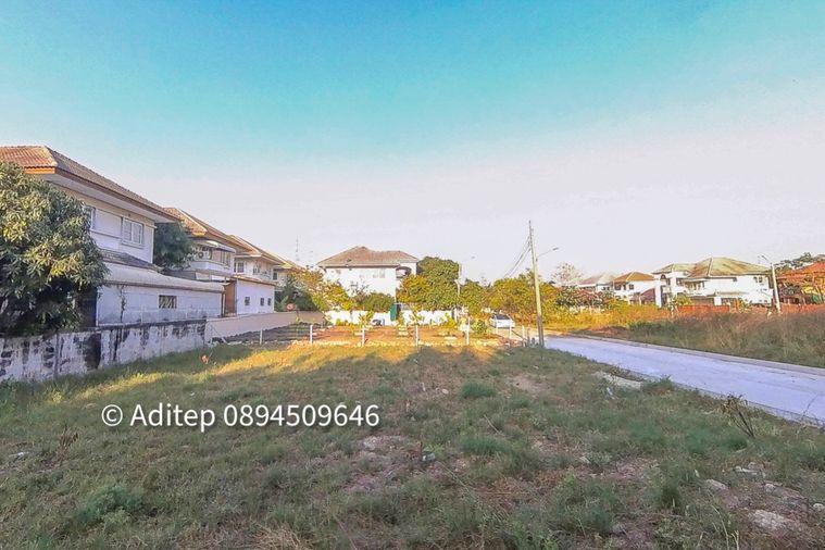 รูป ขายต่ำกว่าราคาประเมิน! ที่ดินเปล่า 105 ตรว. ในหมู่บ้าน เพลส แอนด์ พาร์ค ประชาอุทิศ 90 ที่ดินหน้าสวน ติดถนนเมน หายาก เหมาะสร้างบ้านในฝัน! - รูปที่ 21/30