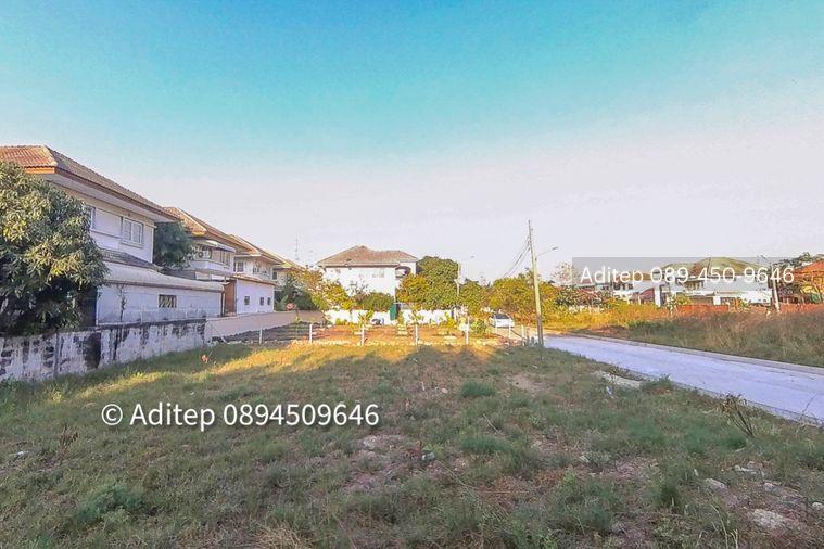 รูป ขายต่ำกว่าราคาประเมิน! ที่ดินเปล่า 105 ตรว. ในหมู่บ้าน เพลส แอนด์ พาร์ค ประชาอุทิศ 90 ที่ดินหน้าสวน ติดถนนเมน หายาก เหมาะสร้างบ้านในฝัน! - รูปที่ 21/30