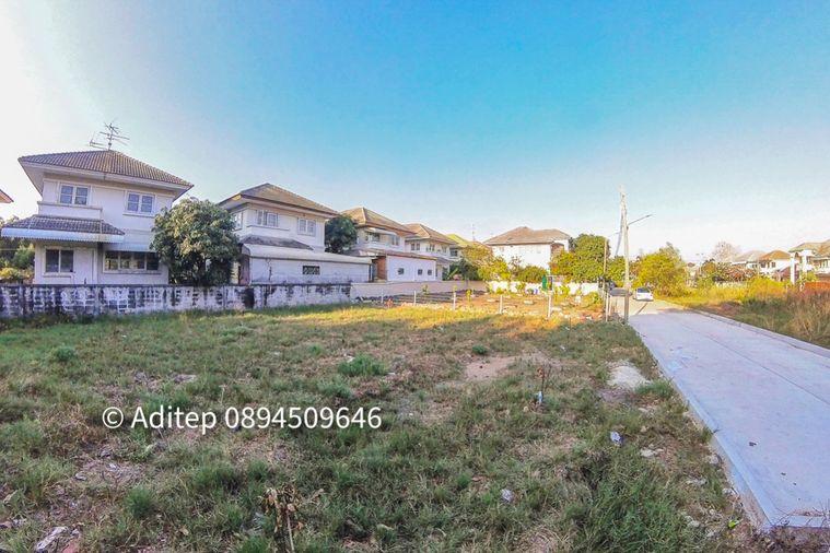 รูป ขายต่ำกว่าราคาประเมิน! ที่ดินเปล่า 105 ตรว. ในหมู่บ้าน เพลส แอนด์ พาร์ค ประชาอุทิศ 90 ที่ดินหน้าสวน ติดถนนเมน หายาก เหมาะสร้างบ้านในฝัน! - รูปที่ 20/30