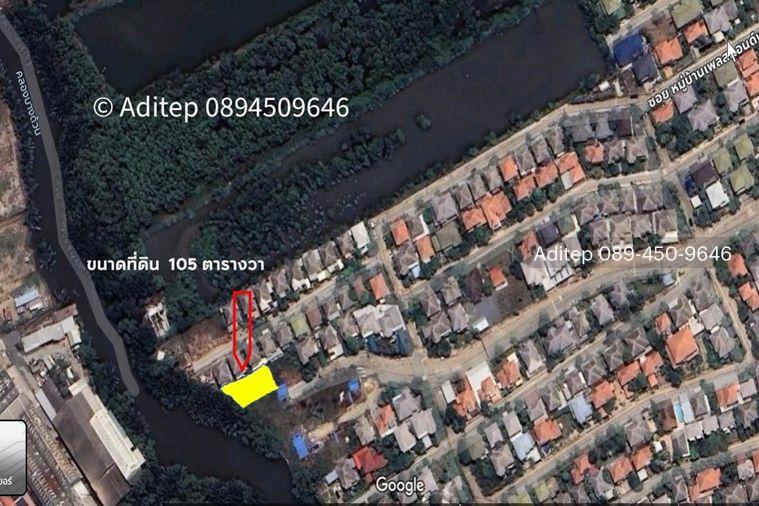 รูป ขายต่ำกว่าราคาประเมิน! ที่ดินเปล่า 105 ตรว. ในหมู่บ้าน เพลส แอนด์ พาร์ค ประชาอุทิศ 90 ที่ดินหน้าสวน ติดถนนเมน หายาก เหมาะสร้างบ้านในฝัน! - รูปที่ 26/30