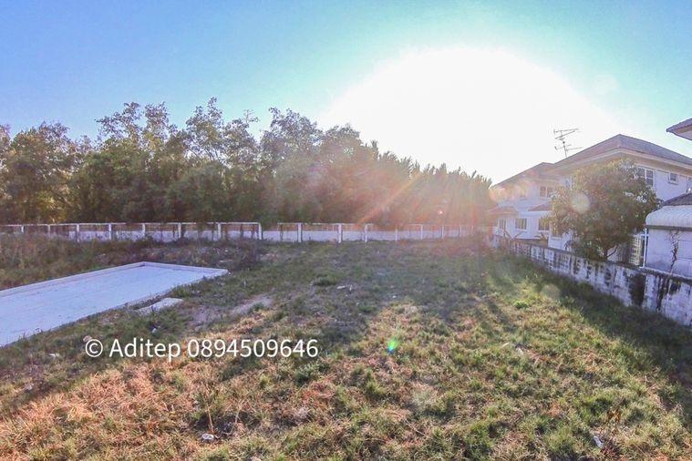 รูป ขายต่ำกว่าราคาประเมิน! ที่ดินเปล่า 105 ตรว. ในหมู่บ้าน เพลส แอนด์ พาร์ค ประชาอุทิศ 90 ที่ดินหน้าสวน ติดถนนเมน หายาก เหมาะสร้างบ้านในฝัน! - รูปที่ 19/30