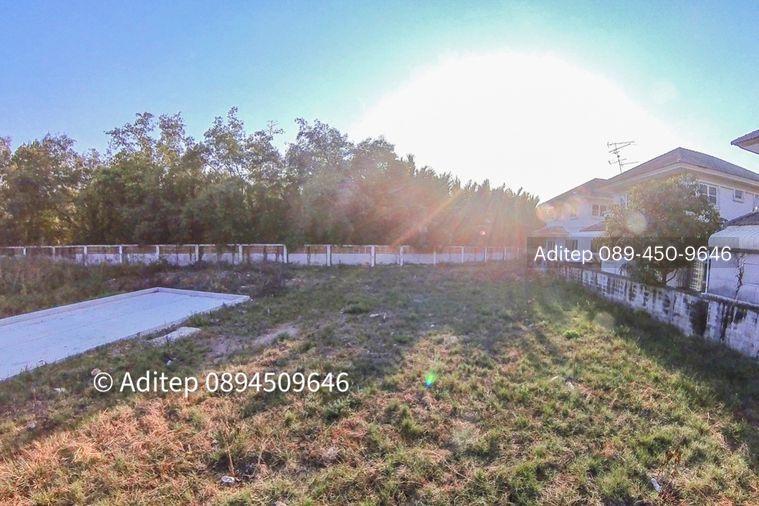รูป ขายต่ำกว่าราคาประเมิน! ที่ดินเปล่า 105 ตรว. ในหมู่บ้าน เพลส แอนด์ พาร์ค ประชาอุทิศ 90 ที่ดินหน้าสวน ติดถนนเมน หายาก เหมาะสร้างบ้านในฝัน! - รูปที่ 19/30