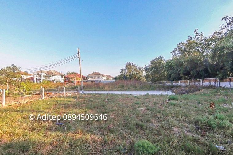 รูป ขายต่ำกว่าราคาประเมิน! ที่ดินเปล่า 105 ตรว. ในหมู่บ้าน เพลส แอนด์ พาร์ค ประชาอุทิศ 90 ที่ดินหน้าสวน ติดถนนเมน หายาก เหมาะสร้างบ้านในฝัน! - รูปที่ 25/30