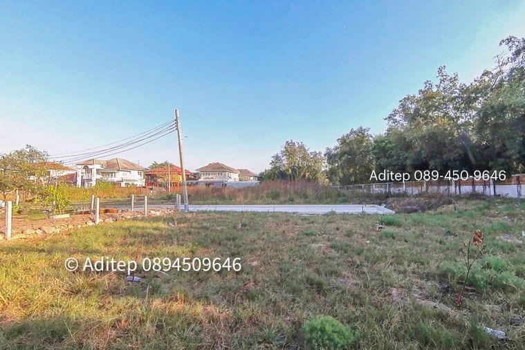 รูป ขายต่ำกว่าราคาประเมิน! ที่ดินเปล่า 105 ตรว. ในหมู่บ้าน เพลส แอนด์ พาร์ค ประชาอุทิศ 90 ที่ดินหน้าสวน ติดถนนเมน หายาก เหมาะสร้างบ้านในฝัน! - รูปที่ 25/30