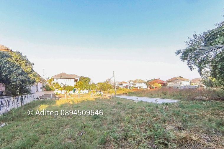 รูป ขายต่ำกว่าราคาประเมิน! ที่ดินเปล่า 105 ตรว. ในหมู่บ้าน เพลส แอนด์ พาร์ค ประชาอุทิศ 90 ที่ดินหน้าสวน ติดถนนเมน หายาก เหมาะสร้างบ้านในฝัน! - รูปที่ 22/30