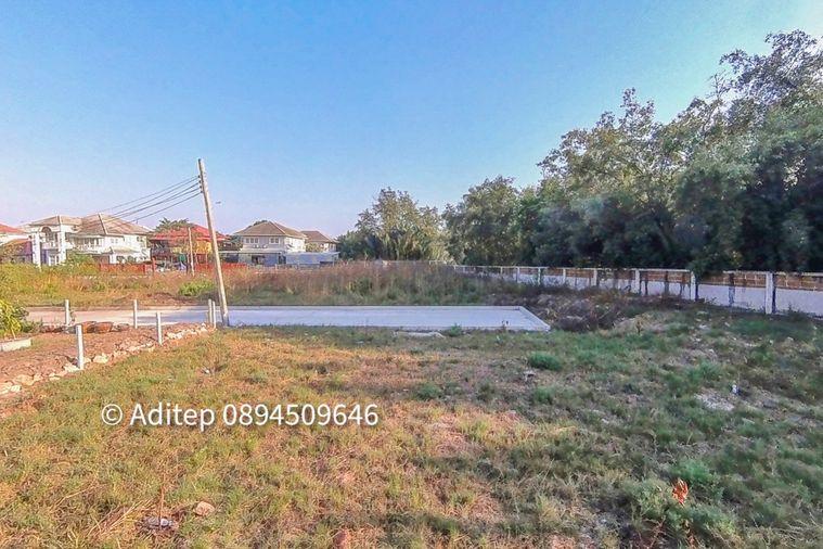 รูป ขายต่ำกว่าราคาประเมิน! ที่ดินเปล่า 105 ตรว. ในหมู่บ้าน เพลส แอนด์ พาร์ค ประชาอุทิศ 90 ที่ดินหน้าสวน ติดถนนเมน หายาก เหมาะสร้างบ้านในฝัน! - รูปที่ 17/30