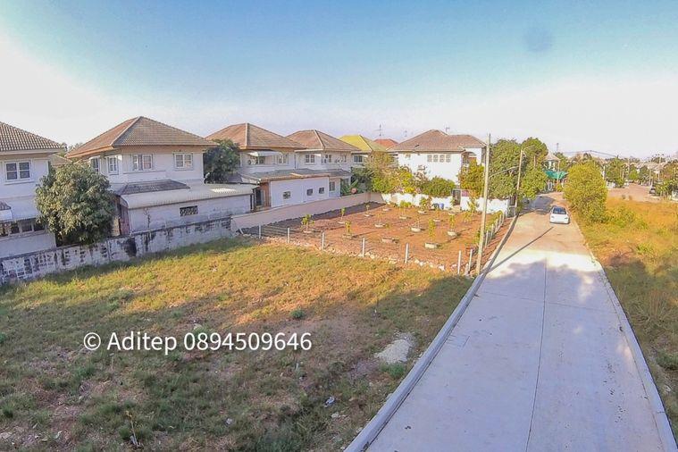 รูป ขายต่ำกว่าราคาประเมิน! ที่ดินเปล่า 105 ตรว. ในหมู่บ้าน เพลส แอนด์ พาร์ค ประชาอุทิศ 90 ที่ดินหน้าสวน ติดถนนเมน หายาก เหมาะสร้างบ้านในฝัน! - รูปที่ 11/30