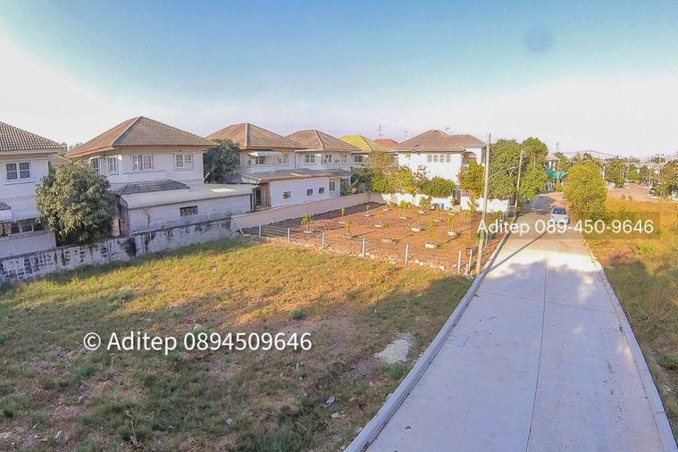 รูป ขายต่ำกว่าราคาประเมิน! ที่ดินเปล่า 105 ตรว. ในหมู่บ้าน เพลส แอนด์ พาร์ค ประชาอุทิศ 90 ที่ดินหน้าสวน ติดถนนเมน หายาก เหมาะสร้างบ้านในฝัน! - รูปที่ 11/30