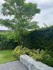 listing thumbnail image 21