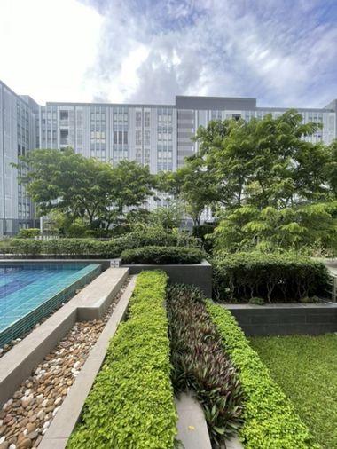 รูป MONIIQ Sukhumvit 64 (โมนีค สุขุมวิท 64) - รูปที่ 31/32