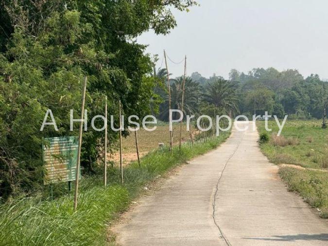 picture Land for sale in Sriracha, Khao Khan Song, beautiful plot, EEC area, near route 331 - 6/16