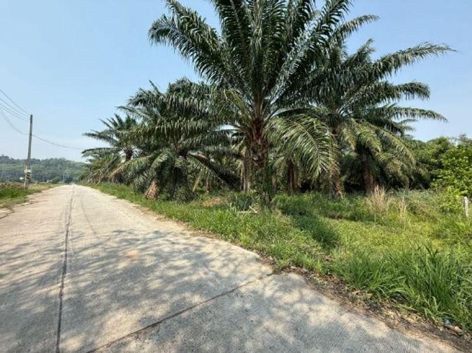 picture Land for sale in Sriracha, Khao Khan Song, beautiful plot, EEC area, near route 331 - 11/16