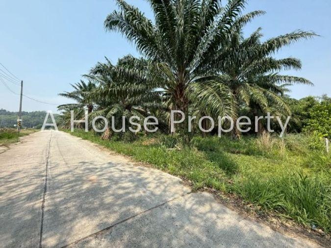 picture Land for sale in Sriracha, Khao Khan Song, beautiful plot, EEC area, near route 331 - 11/16