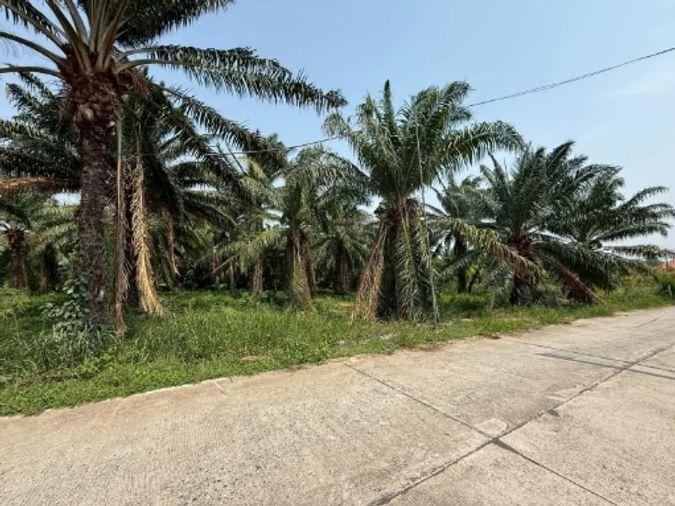 picture Land for sale in Sriracha, Khao Khan Song, beautiful plot, EEC area, near route 331 - 9/16