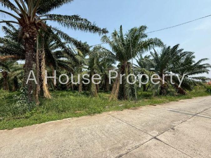 picture Land for sale in Sriracha, Khao Khan Song, beautiful plot, EEC area, near route 331 - 9/16