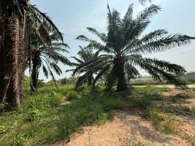 picture Land for sale in Sriracha, Khao Khan Song, beautiful plot, EEC area, near route 331 - 4/16