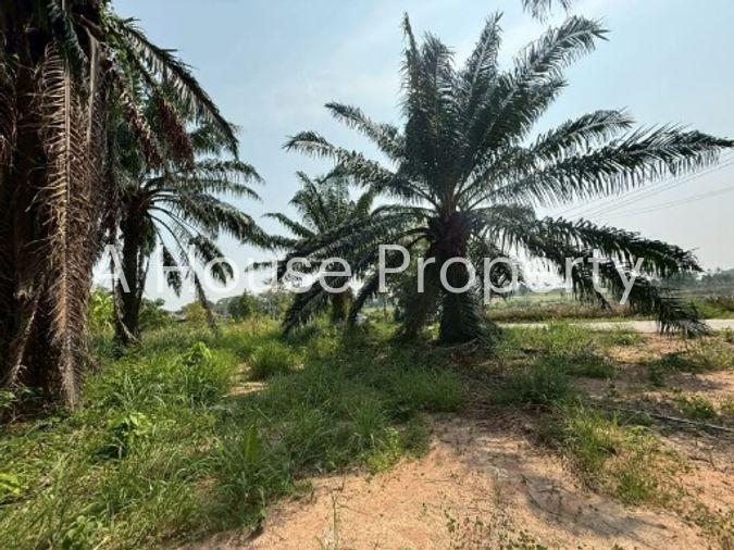 picture Land for sale in Sriracha, Khao Khan Song, beautiful plot, EEC area, near route 331 - 4/16
