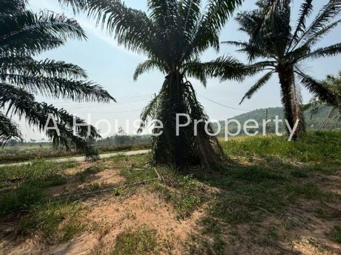 picture Land for sale in Sriracha, Khao Khan Song, beautiful plot, EEC area, near route 331 - 3/16