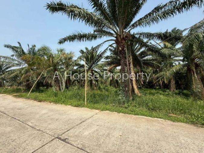 รูป ขายที่ดินศรีราชา เขาคันทรง แปลงสวย เขตพื้นที่ EEC ใกล้เส้น 331 - รูปที่ 8/16