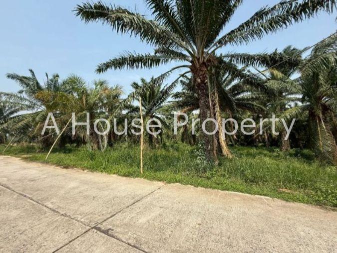 picture Land for sale in Sriracha, Khao Khan Song, beautiful plot, EEC area, near route 331 - 8/16