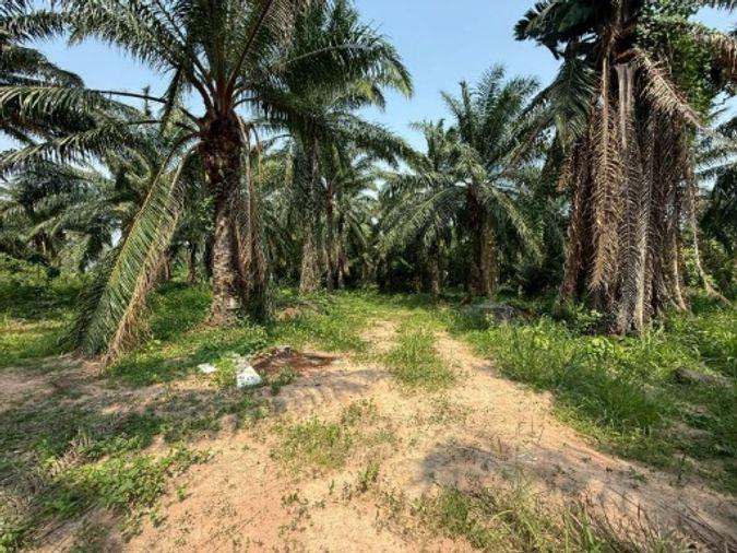 picture Land for sale in Sriracha, Khao Khan Song, beautiful plot, EEC area, near route 331 - 2/16