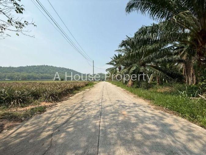 รูป ขายที่ดินศรีราชา เขาคันทรง แปลงสวย เขตพื้นที่ EEC ใกล้เส้น 331 - รูปที่ 10/16
