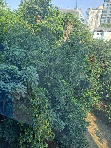 picture Condo for rent:Vinn Sukhumvit 46( BTS Phra Khanong)MK-02  line @livingbkk - 4/8