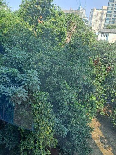 picture Condo for rent:Vinn Sukhumvit 46( BTS Phra Khanong)MK-02 line @livingbkk - 4/8