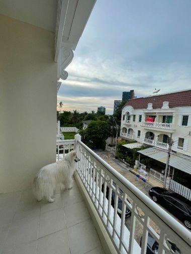รูป เดอะ เมทโทร สาทร-กัลปพฤกษ์  The Metro Sathorn-Kanlapaphruek  - รูปที่ 22/22