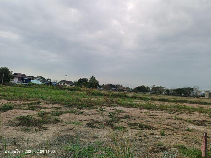 รูป เจ้าของขายเอง ที่ดิน พร้อมขาย ถมที่เรียบร้อย หม้า ม.พะเยา แม่กาหลวง จ.พะเยา - รูปที่ 7/11