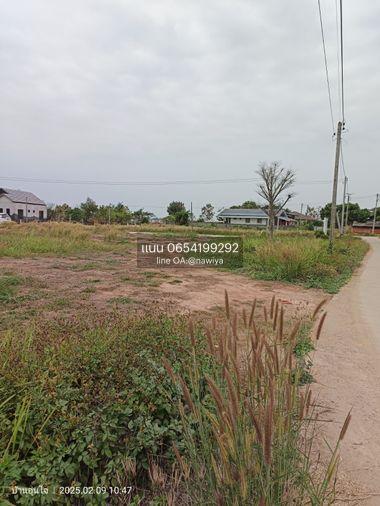 รูป เจ้าของขายเอง ที่ดิน พร้อมขาย ถมที่เรียบร้อย หม้า ม.พะเยา แม่กาหลวง จ.พะเยา - รูปที่ 9/11