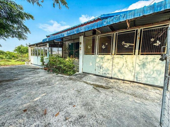 picture Land for sale with buildings, natural atmosphere, community area, Huai Kapi, Chonburi - 2/19