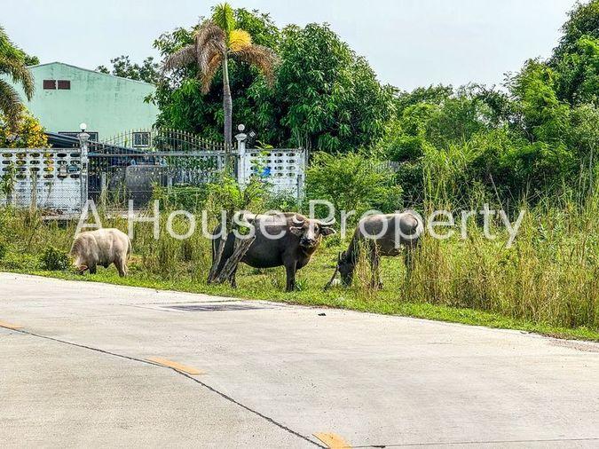 picture Land for sale with buildings, natural atmosphere, community area, Huai Kapi, Chonburi - 19/19