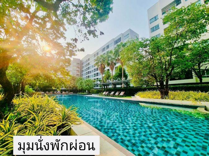 รูป Elio Del Ray (เอลลิโอ เดลเรย์) - รูปที่ 9/12
