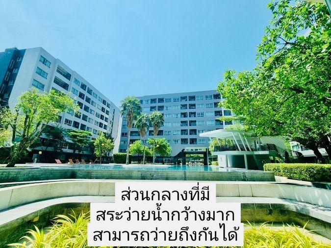 รูป Elio Del Ray (เอลลิโอ เดลเรย์) - รูปที่ 8/12